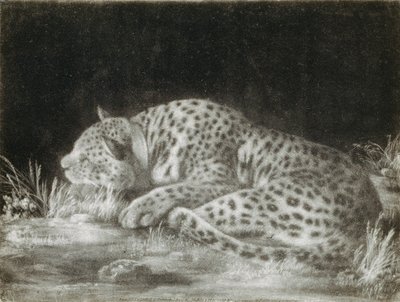 Een tijger (een slapende cheetah) door George Stubbs